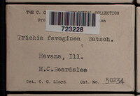 Image Associated With the Occurence
